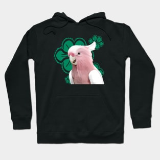 Galah Cockatoo Green Floral Hoodie